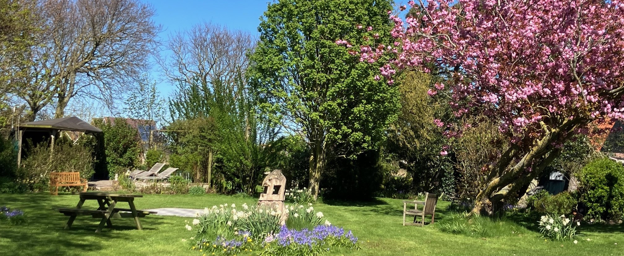 Tuin in mei